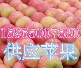 莒縣傲翔農副產品購銷處 探索海量高清圖片庫，展現農副產品的天然魅力