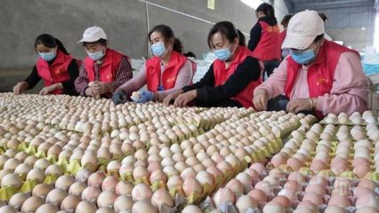 搭乘'電商號'，尉氏農副產品駛向鄉村振興'站臺'