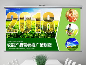 2018互聯(lián)網(wǎng)+農(nóng)副產(chǎn)品市場推廣企業(yè)營銷策劃案模板