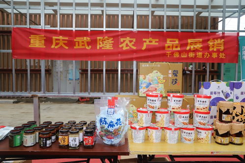 歷下區(qū)千佛山街道東西部協(xié)作農(nóng)特產(chǎn)品惠民專場助力農(nóng)副產(chǎn)品銷售