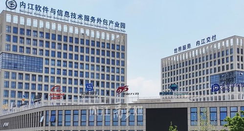 27.2億元！內江服務外包產業邁上新臺階，計算機網絡維護成關鍵引擎